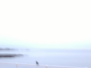 2012-07-24 20.17.40